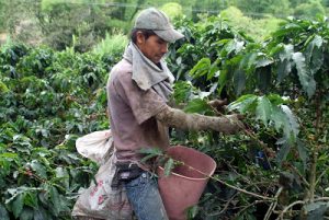 ElQuindio (58)