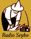 Radio Seibo