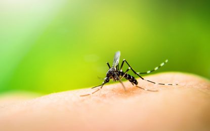 Exencargado de Salud Ambiental habla sobre el dengue
