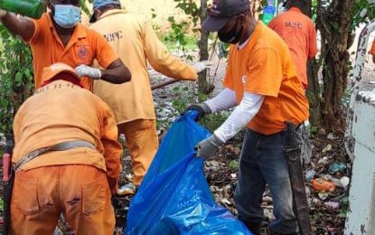 Instituciones llevan a cabo jornada para recoger desechos sólidos