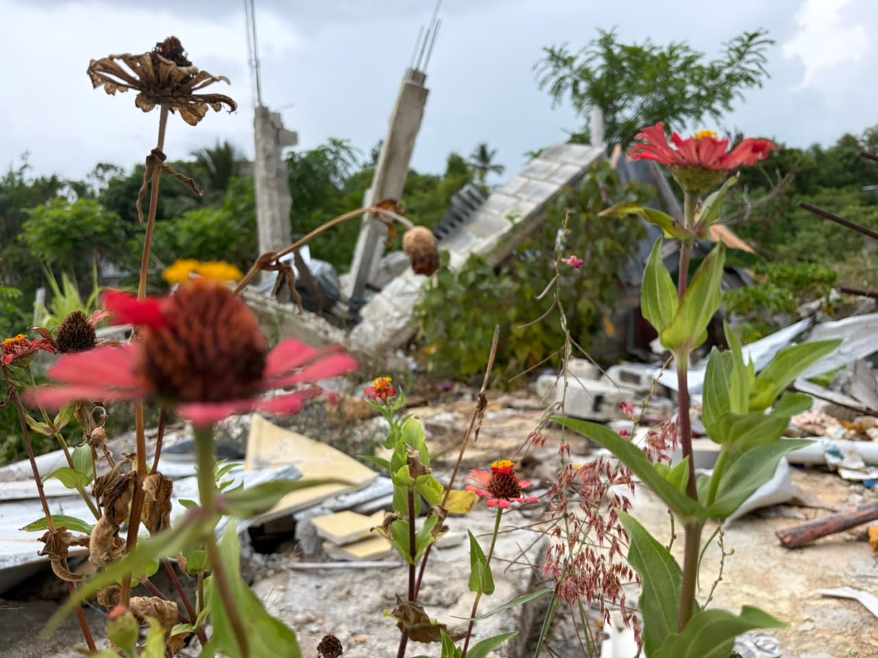 Flores de esperanza entre los escombros de Villa Guerrero
